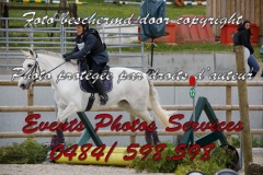 Marchin-28-Avril-2024-ACCUEIL-PONEY-117