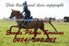 Orp-CCI-19-Mai-2024-PONEY-Sa-0012